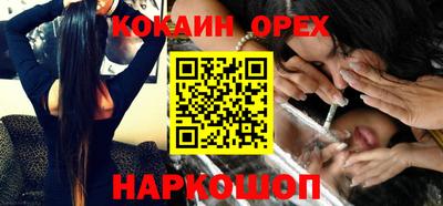 стафф Шелехов