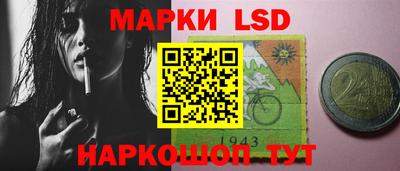 стафф Шелехов