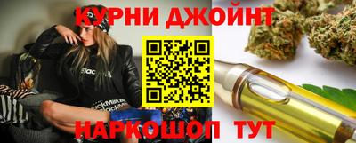 стафф Шелехов