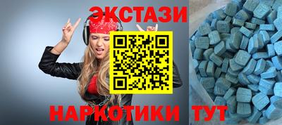 стафф Шелехов
