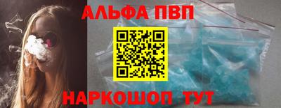 стафф Шелехов