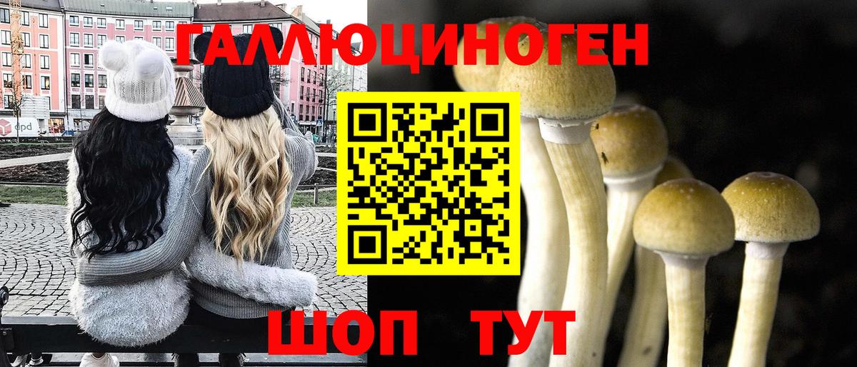 хочу   Вход с VPN  Галлюциногенные грибы MAGIC MUSHROOMS  Углич  Галлюциногенные грибы ЛСД 