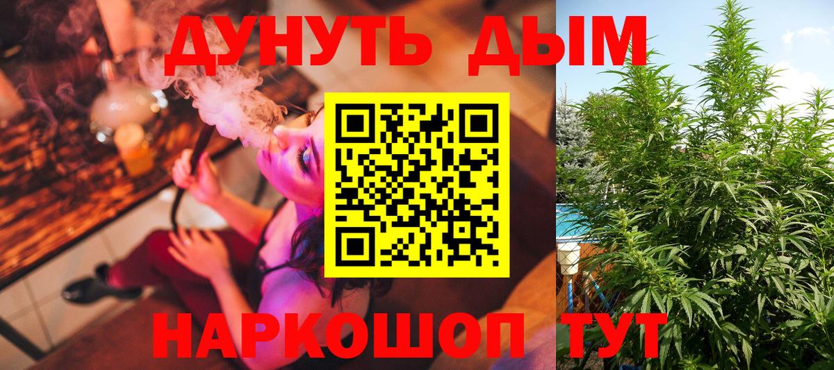 Углич  Бошки марихуана гибрид  Бошки марихуана OG Kush  Вход с VPN 